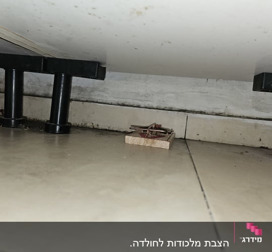 מלכודת עכברים מונחת על הרצפה מתחת לרהיט